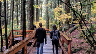 BC National Forest Week Sept 17-23, 2023