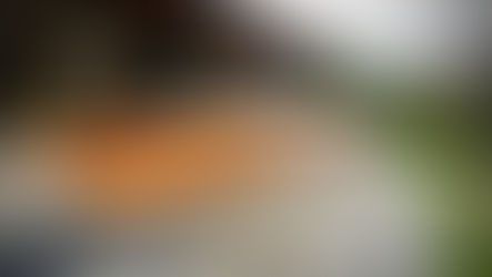 Wood Expo is Sept 17th - come on out!