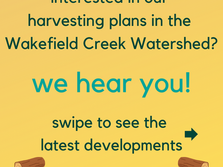 The Community Forest Balances the Needs of the Community, Ecosystem Values and Economic Opportunity