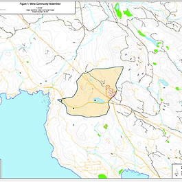 Milne Community Watershed Assessment 2021