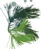 Stained Leaves