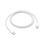 Miniature : Câble Apple USB-C vers USB-C