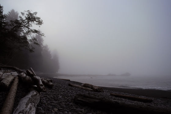 BEFRIENDING YOUR MIND THROUGH MEDITATION