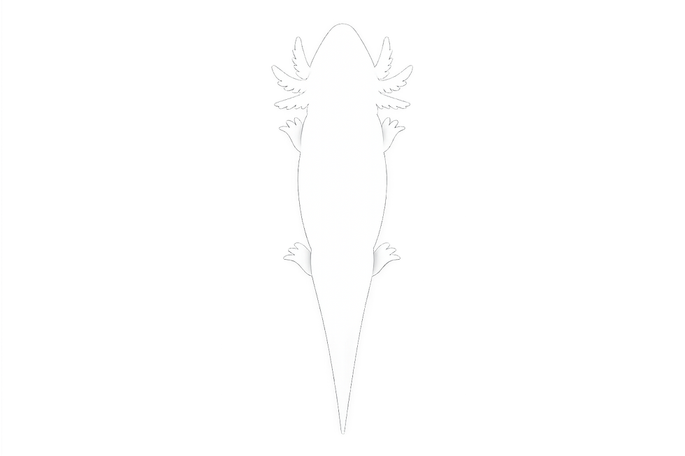 ChatGPT Image Jul 25, 2026, 01_48_50 AM.png
