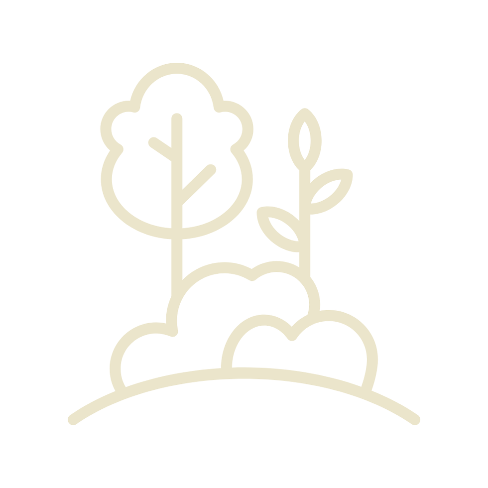 8.png