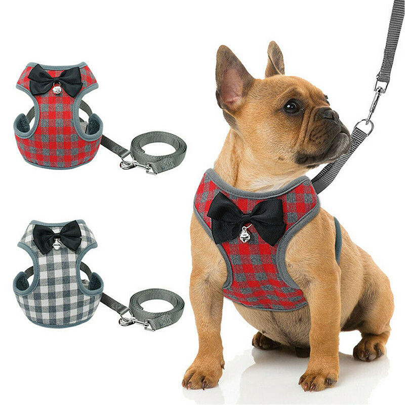 Miniatura: Dog Leash with Checkered Bowtie Harness for Pets