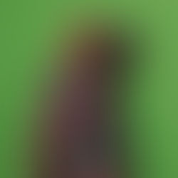 Isaac Mizrahi Sportswear Collection Launch - Macy's Fall 2025