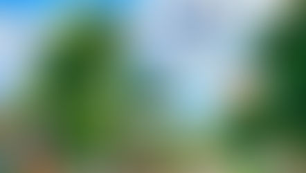 Chỉ #𝟱𝟵𝟬 triệu - Sở hữu đất nền ĐẠI HIỆP 𝗖𝗲𝗻𝘁𝗿𝗮𝗹
 Sẵn sổ - Đường 𝗗𝗧 𝟲𝟬𝟵 Liên tỉnh 𝟮