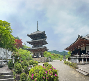 Templo Tsubosaka-Dera.jpg