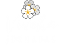 Logo Viveka Viagens Espirituais claro 2 - NOVO.png