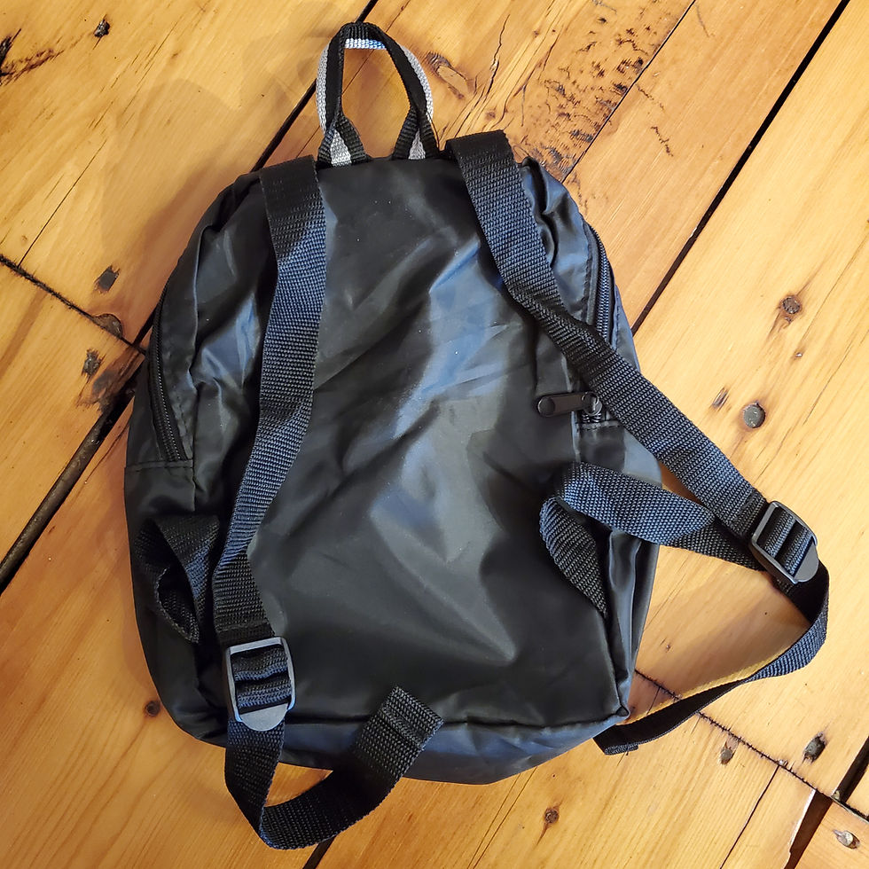Thumbnail: Compact Back Pack | Foundation | Black