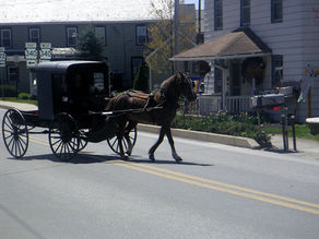 horse-drawn Amish buggy traveling through a small town in Amish country