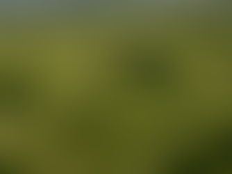 Cahokia Mounds: America’s Lost City