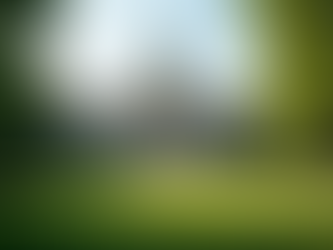 Henry Morrison Flagler Museum in West Palm Beach, a landmark of history and architecture featured in West Palm Beach travel 2025