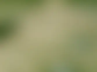 Monks Mound at Cahokia Mounds State Historic Site in Collinsville, Illinois near St. Louis.