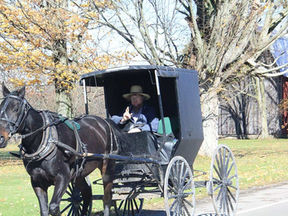 Amish buggy and driver traveling through Amish country, a common sight in Amish tourism regions.