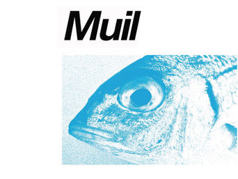 MUIL (concierto) 14/03/2020 - 20:00h