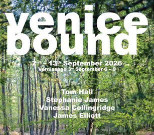 VENICE BOUND | Foreste collegate | Tom Hall, Stephanie James, Vanessa Collingridge, James Elliott