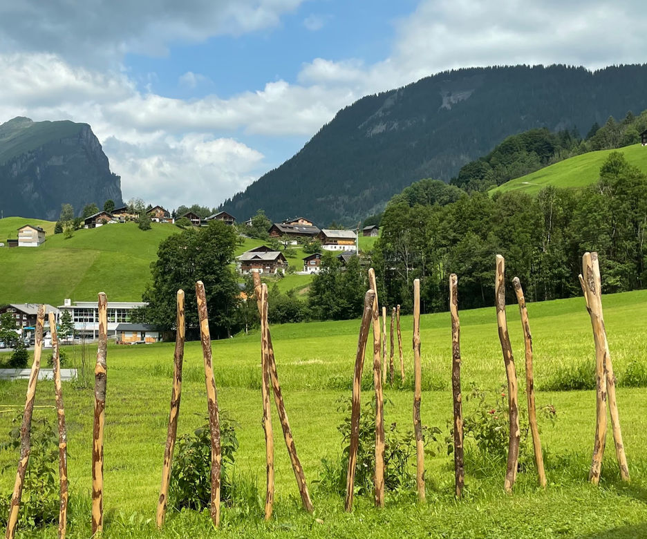 Appartement Panorama Schoppernau_edited.jpg
