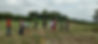 IMG-20220725-WA0008.jpg