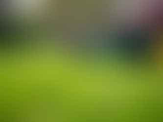 Expert Lawn Mowing and Weeding Solutions Online