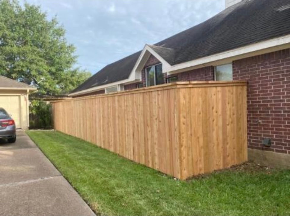 Finished Fence