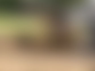 Excavator digging a hole