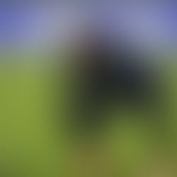 สเตอร์ลิ่งบ่นอุบนี่บอลอาชีพนะให้เวลาเตรียมตัวบ้าง