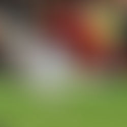 'คิเอล' ยกย่อง 'พี่มอส' ยอดกองหลัง โคตรเซียนท่าหักแขน 'ซาล่าห์'