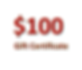 $100 Gift Certificate