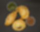 DSC01705-2.jpg