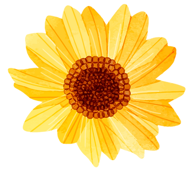 girasol.png