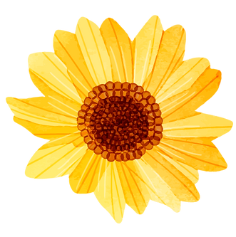 girasol.png