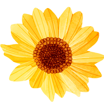 girasol.png