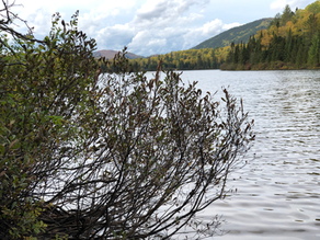 Magnifique lac des Laurentides
