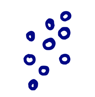 the lambda mu chapter of sigma gamma rho sorority inc.-28.png