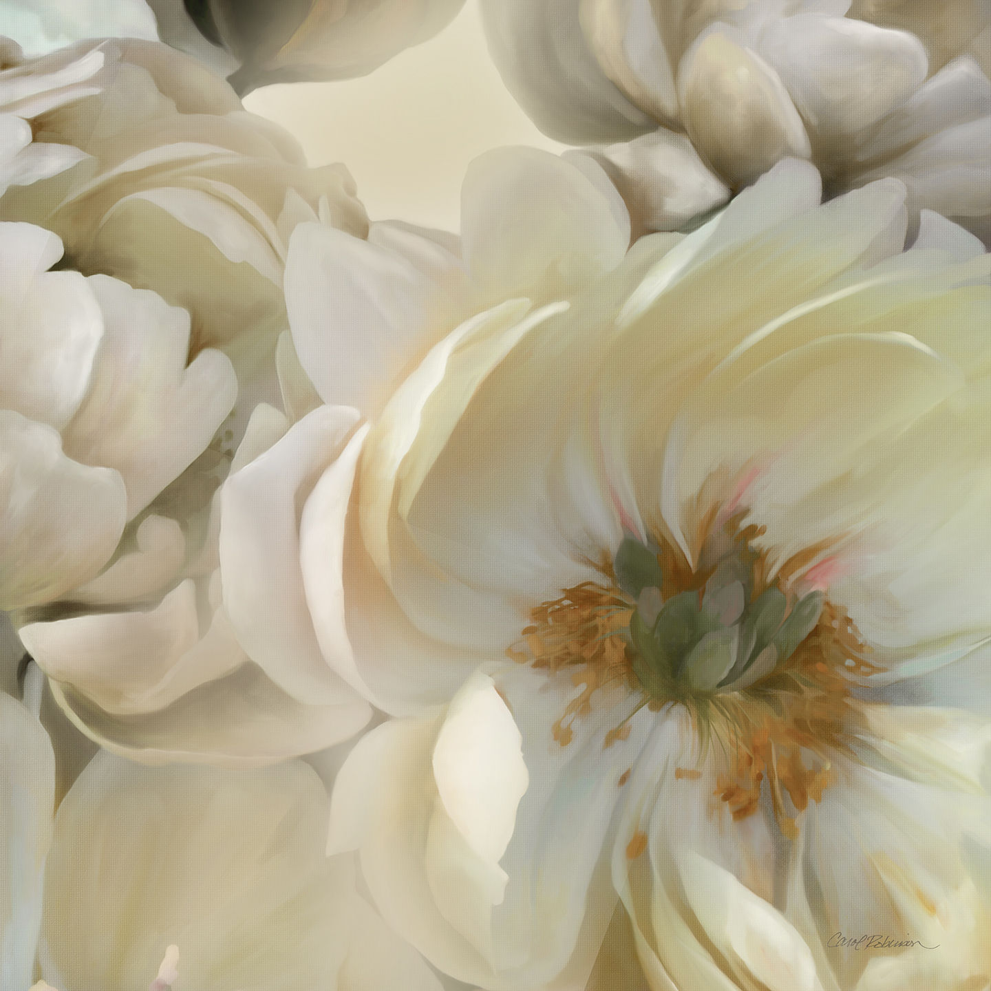 CR50091_Floral Shadows I