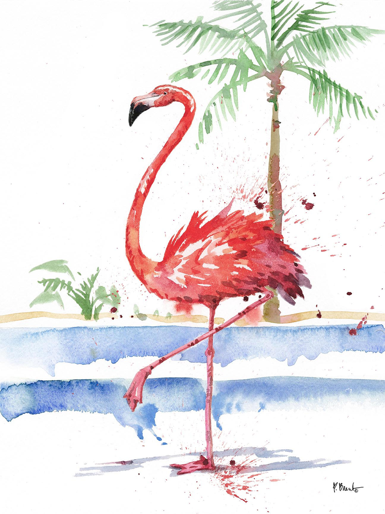 PB24501_Santo Domingo Flamingo II