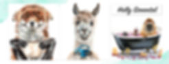 Artist Banner template HS.jpg