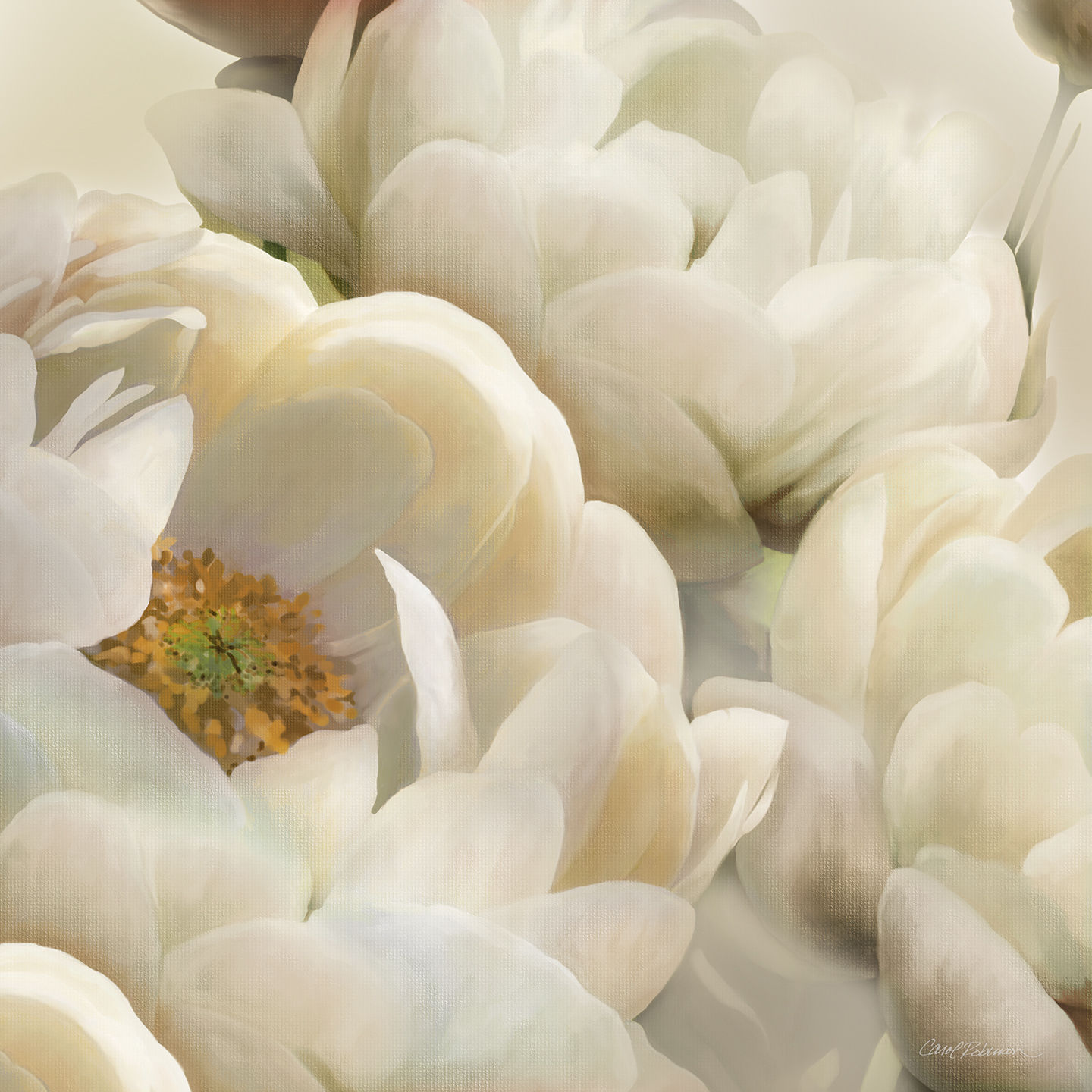 CR50092_Floral Shadows II