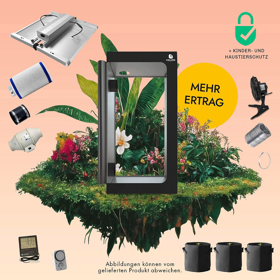 CALUMA | Growbox L Plus | 100 x 100 x 200 cm | 320 W LED