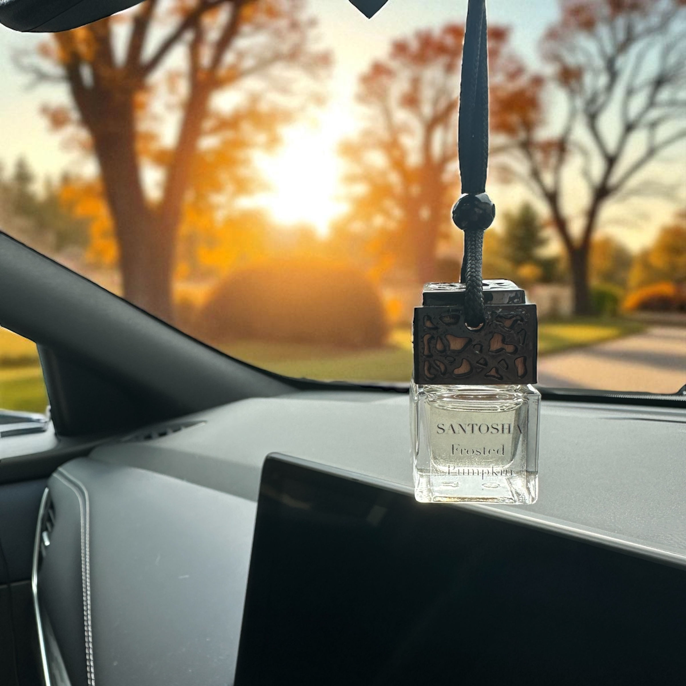 Luxury Car Diffusers