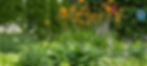 20240704_35 Paffard St_edited.jpg