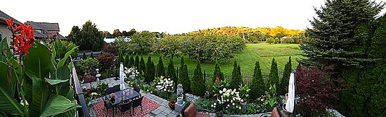 landscape_edited.jpg