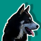 NOVO (3).png
