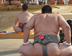 grand sumo tournament sumo stable visiting tourng