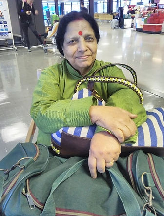 wheelchair accessible tour customers from indian