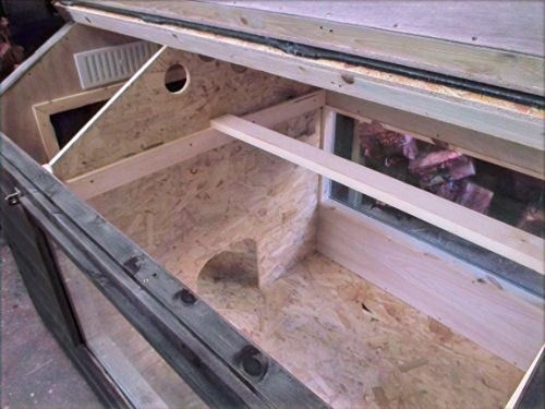 Thumbnail: Rose - Tortoise House