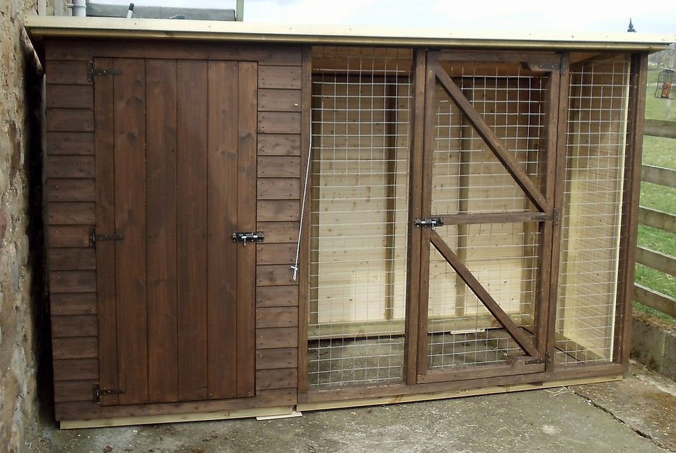 Nova - Dog Kennel