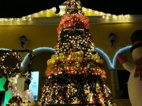 Encendido del árbol navideño de Tekit